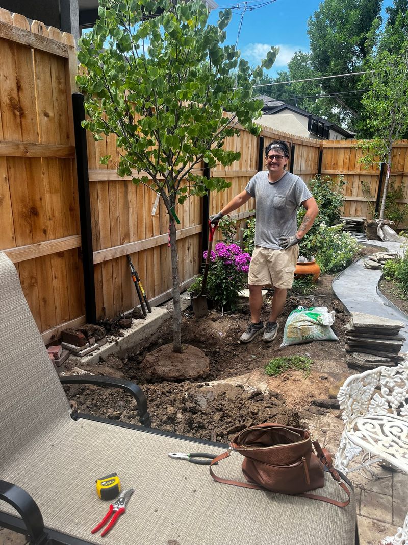 Crew member planting a tree in a backyard, work in progress