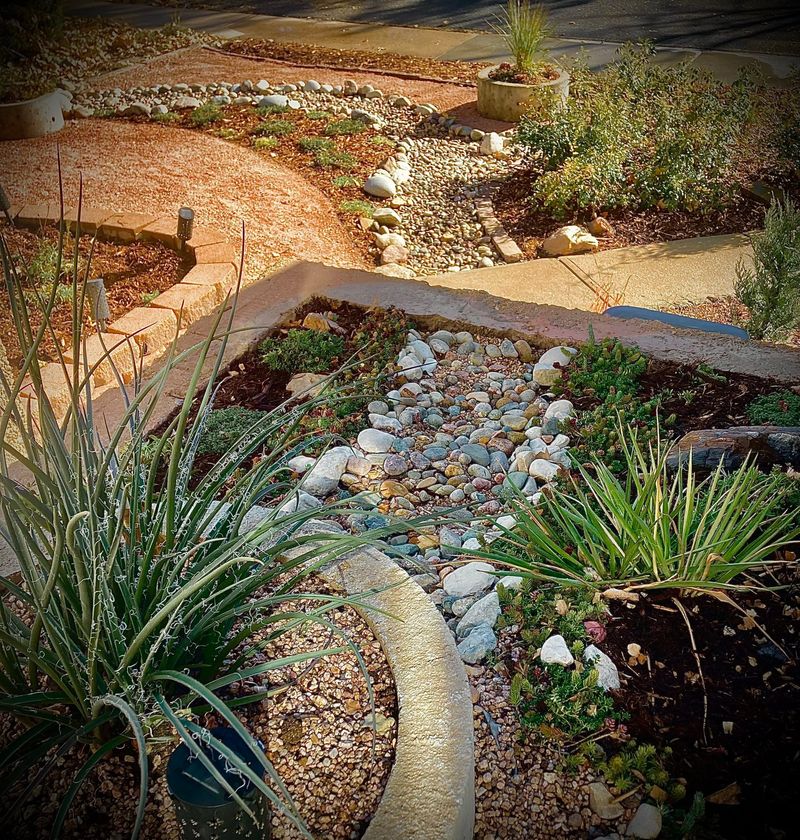 Dry creek bed and rock xeriscape garden