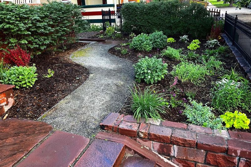Gravel path between shade beds with brick edging