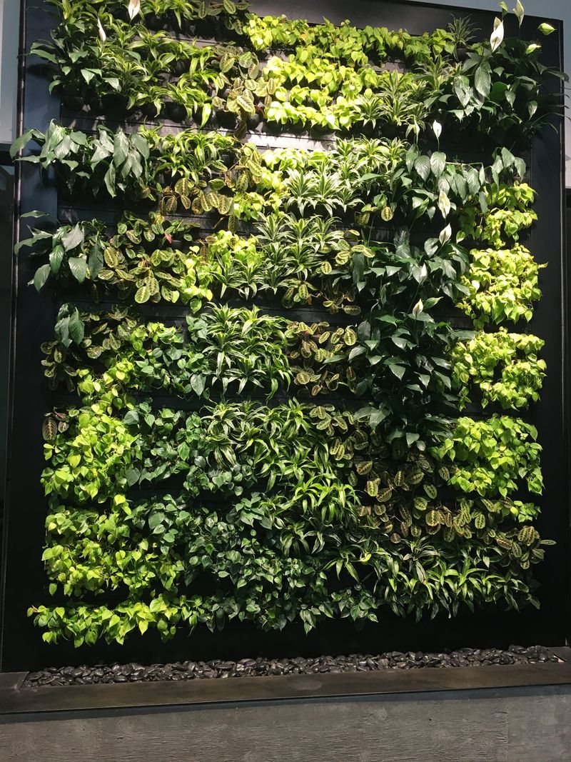 Living green wall of indoor and tropical plants in a vertical planting