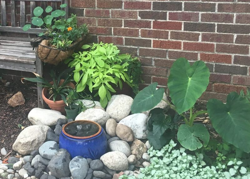 Shade rock garden with a blue ceramic water feature, elephant ears and river rock by a brick wall